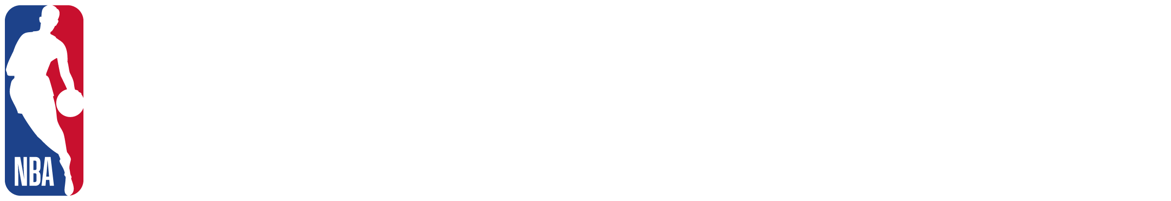 NBA Basketball School